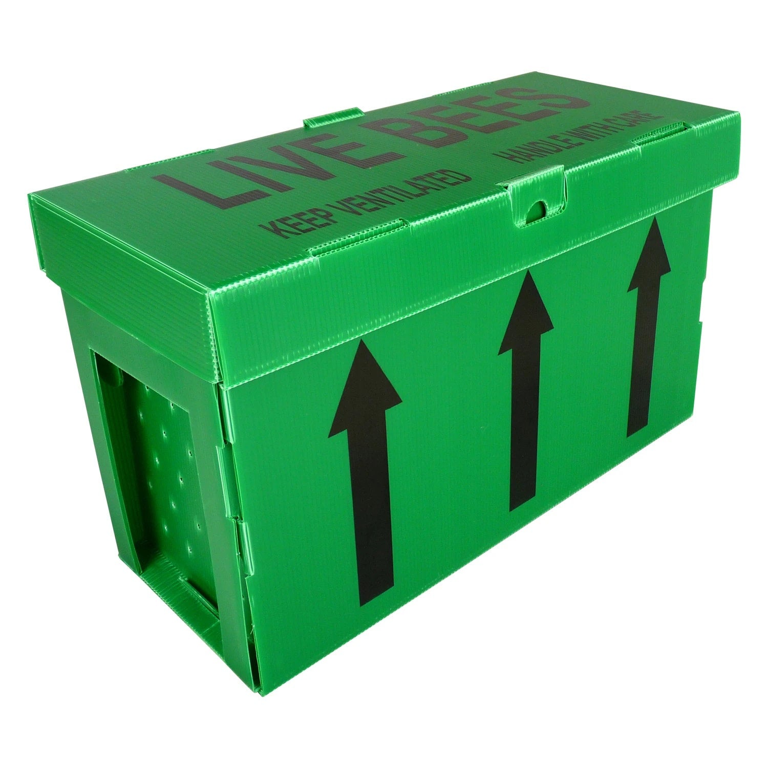 Nector Box National correx nuc box | Ham Hill Honeybees Ltd